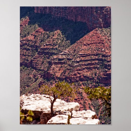 ラフィネスクの時計 ポスター (正面)