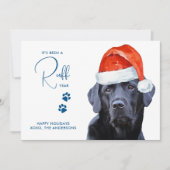 ラフイヤー顔マスク検疫ドッグ シーズンカード (正面)