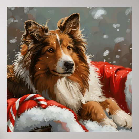 ラフコリー犬のクリスマス ポスター (正面)