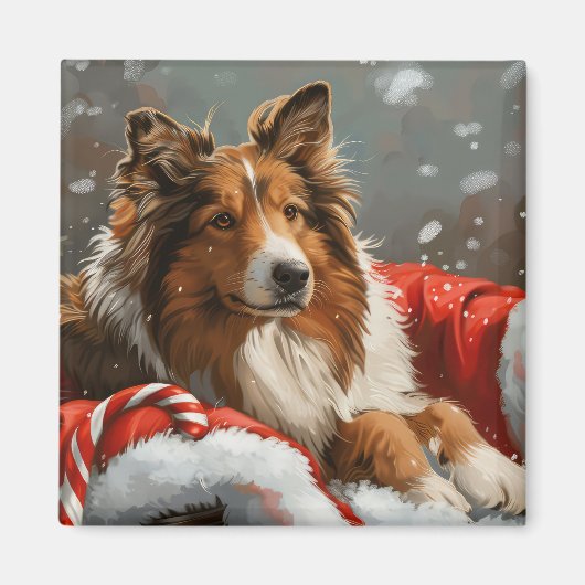 ラフコリー犬のクリスマス マグネット (正面)