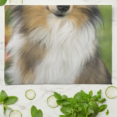 ラフコリー, 犬 キッチンタオル (折り畳み)
