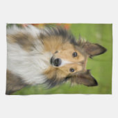 ラフコリー, 犬 キッチンタオル (横)