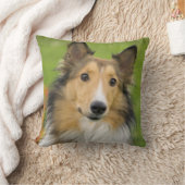 ラフコリー, 犬 クッション (ブランケット)