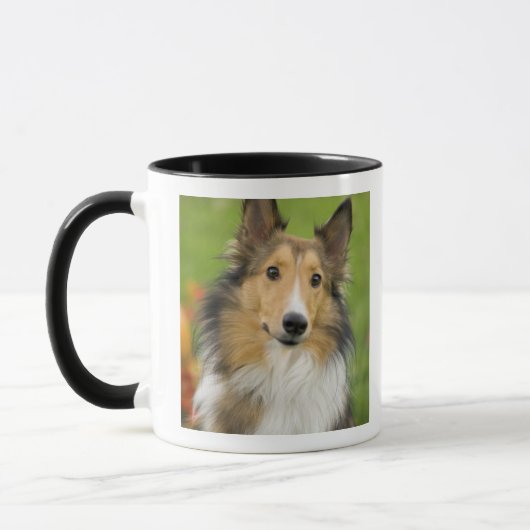 ラフコリー, 犬 マグカップ (左)