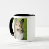 ラフコリー, 犬 マグカップ (正面左)