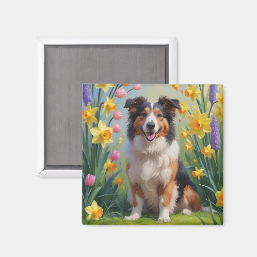ラフコリー 犬 春の花 絵画 マグネット (正面/裏面)