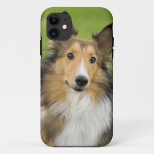 ラフコリー, 犬 iPhone 11 ケース