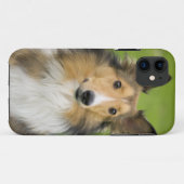 ラフコリー, 犬 Case-Mate iPhoneケース (裏面(横))