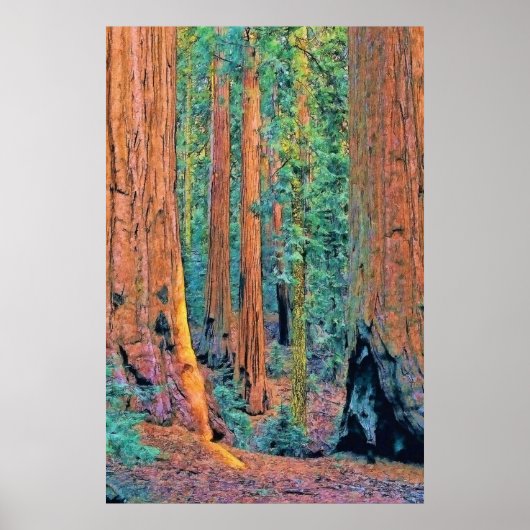 ラフツリーズfaa24 ポスター (正面)