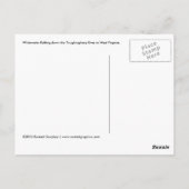 ラフティング・ザ・ヨギョニー ポストカード (裏面)