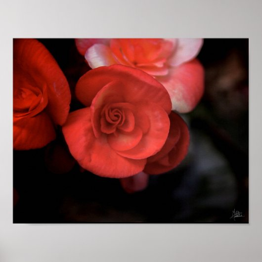 ラフルーアルージュ[アートプリント] ポスター (正面)