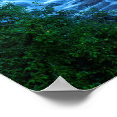 ラフロック秋スピアフィッシュキャニオン ポスター (角)