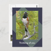 ラフ側のオートホエー自然はがき ポストカード (正面/裏面)