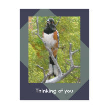 ラフ側のオートホエー自然はがき