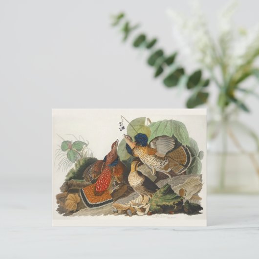 ラフ化されたグロウズオードボン絵を描野生生物 ポストカード (スタンド正面)