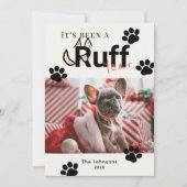 ラフ年クリーム白犬フォトクリスマス シーズンカード (正面)