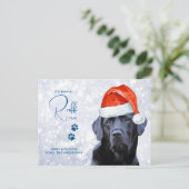 ラフ年レビューラブラドールレトリエバードッグ恋人 ポストカード (スタンド正面)