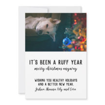 ラフ年2020クリスマスペット