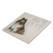 ラフ色タイル タイル (側面)