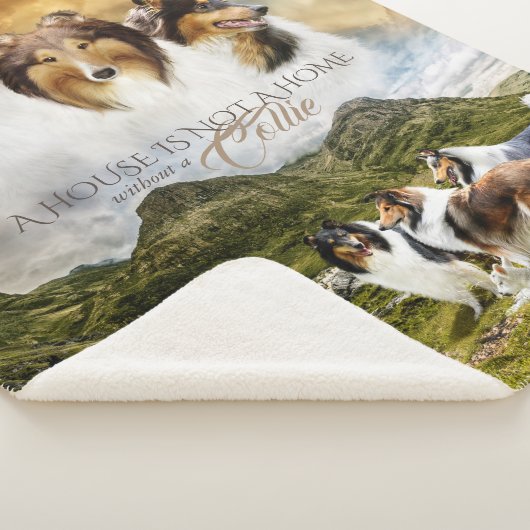 ラフ色ヘディングヒツジ、ポートレートと引用文- シェルパブランケット (3/4)