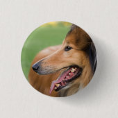 ラフ・コリー顔 缶バッジ (正面)