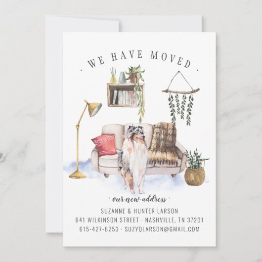 ラフ・コリー |お知らせ 案内状 (正面)