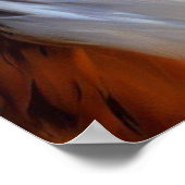 ラフ・コリー・ドッグ ポスター (角)