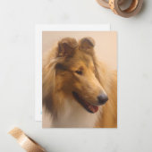 ラフ・セーブル・コリーのポートレート ノートカード (正面/裏面インサイチュ)