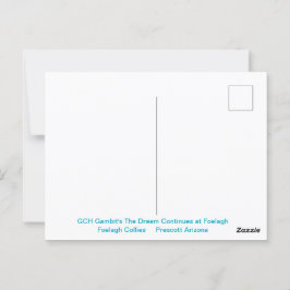 ラフ・セーブル・コリーのポートレート ポストカード