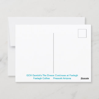 ラフ・セーブル・コリーのポートレート ポストカード