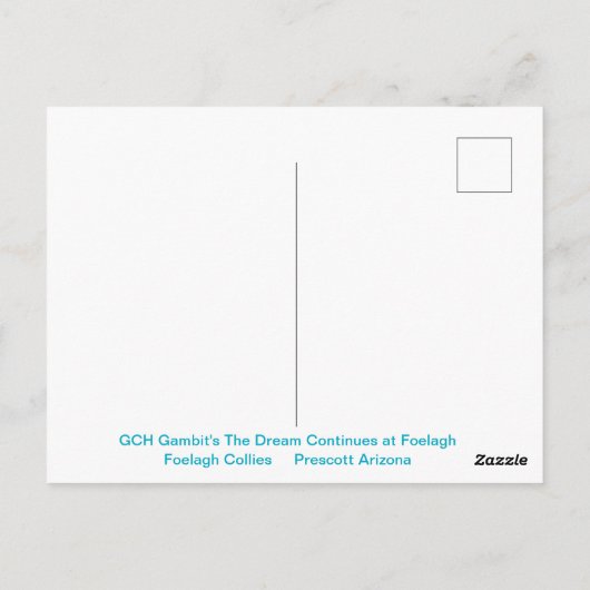 ラフ・セーブル・コリーのポートレート ポストカード (裏面)