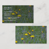 ラフ·ホーキビット(レオントドン·ヒスピダス)の花 名刺 (正面/裏面)