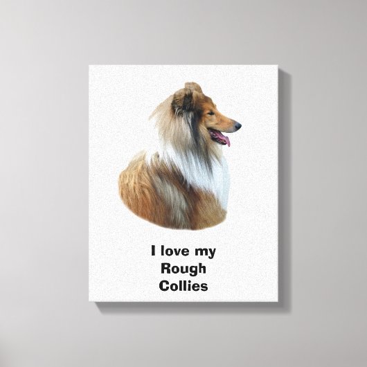ラフCollie犬のポートレート写真 キャンバスプリント (正面)
