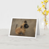 ラブの子犬 カード (黄色い花)