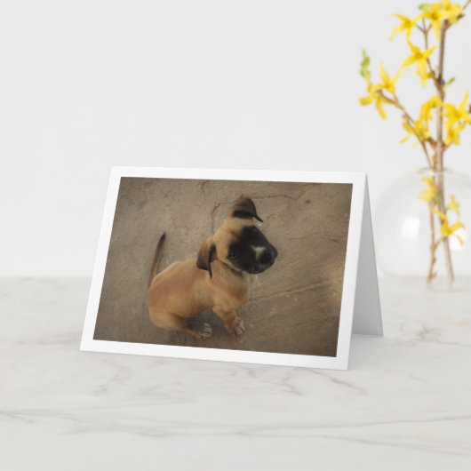 ラブの子犬 カード (黄色い花)