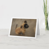 ラブの子犬 カード (正面)