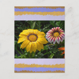 ラブはがき ポストカード