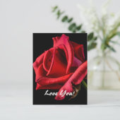 ラブはがき ポストカード (スタンド正面)