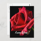 ラブはがき ポストカード (正面/裏面)