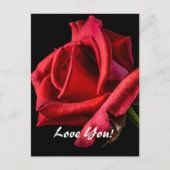 ラブはがき ポストカード (正面)