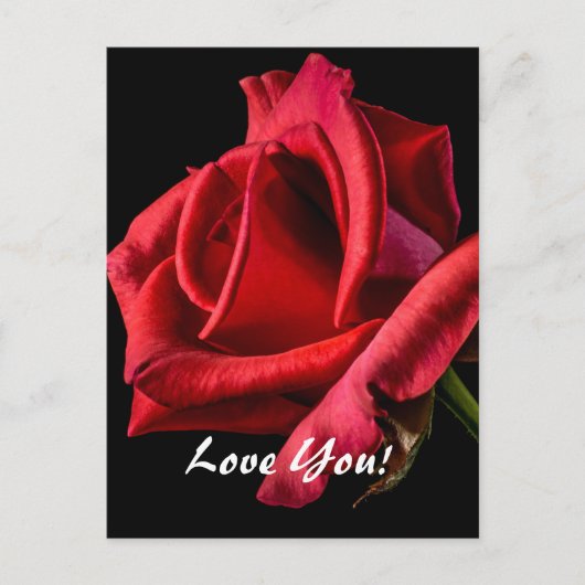 ラブはがき ポストカード (正面)