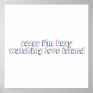 ラブアイランド忙しを見てごめんね ポスター