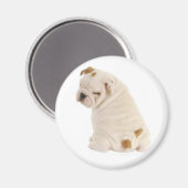 ラブイングリッシュブルドッグパピードッグマグネット マグネット (正面/裏面)