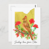 ラブオハイオ(鳥)ショウジョウコウカンチョウバードカーネーションの送信 ポストカード (正面/裏面)