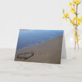 ラブオンビーチ カード (黄色い花)