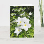 ラブカード カード (正面)