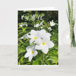 ラブカード カード