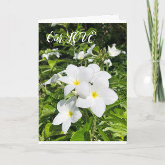 ラブカード カード