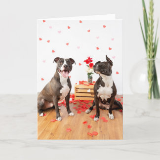 ラブカード カード