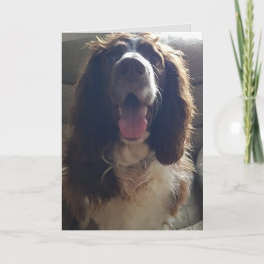 ラブグリーティングカードで カード (正面)